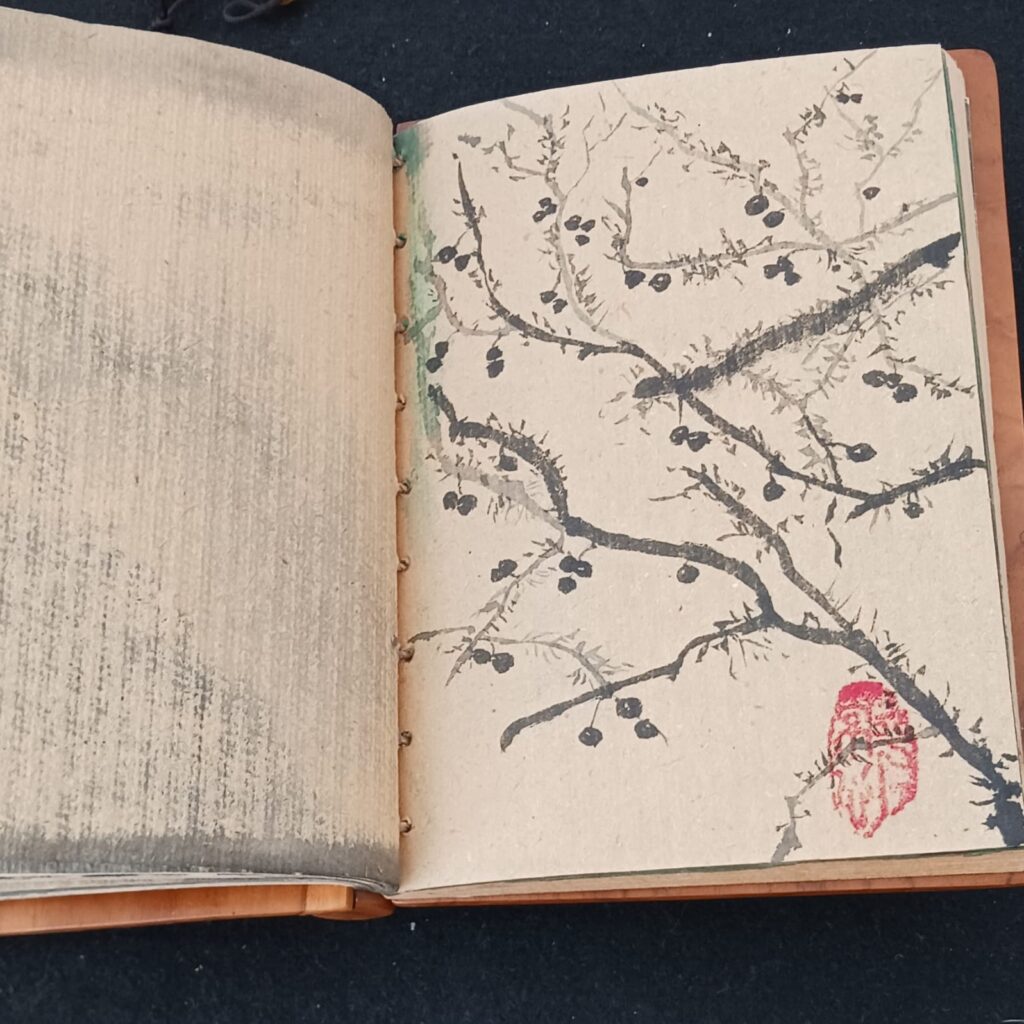 WhatsApp Image 2024-03-12 at 17.05.51 (1)